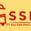 PT Sun Sat and Light (SSL)