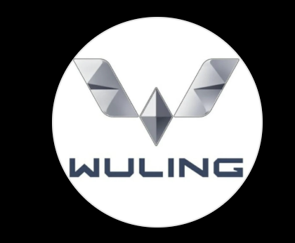 Wuling Arista Siantar